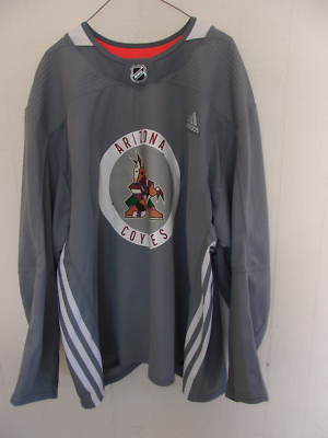 ARIZONA COYOTES Yaroslav Likhachyov gray #85 practice jersey (2019