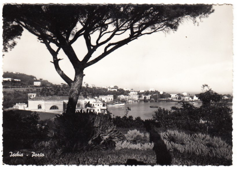 26-02882 - ISCHIA NAPOLI - PORTO VIAGGIATA 1960