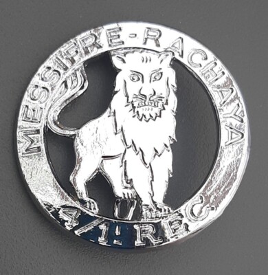 Abzeichen 1. REC 4. Geschwader AFN Algerien Drago Fremdenlegion ORIGINAL BADGE