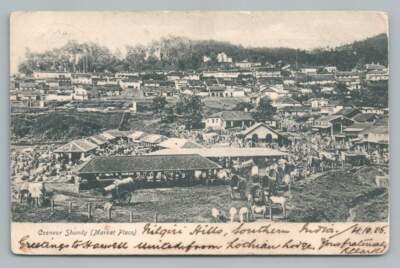 Coonoor Shandy Market Place ~ Nilgiri Hills India Antique Postcard 1905