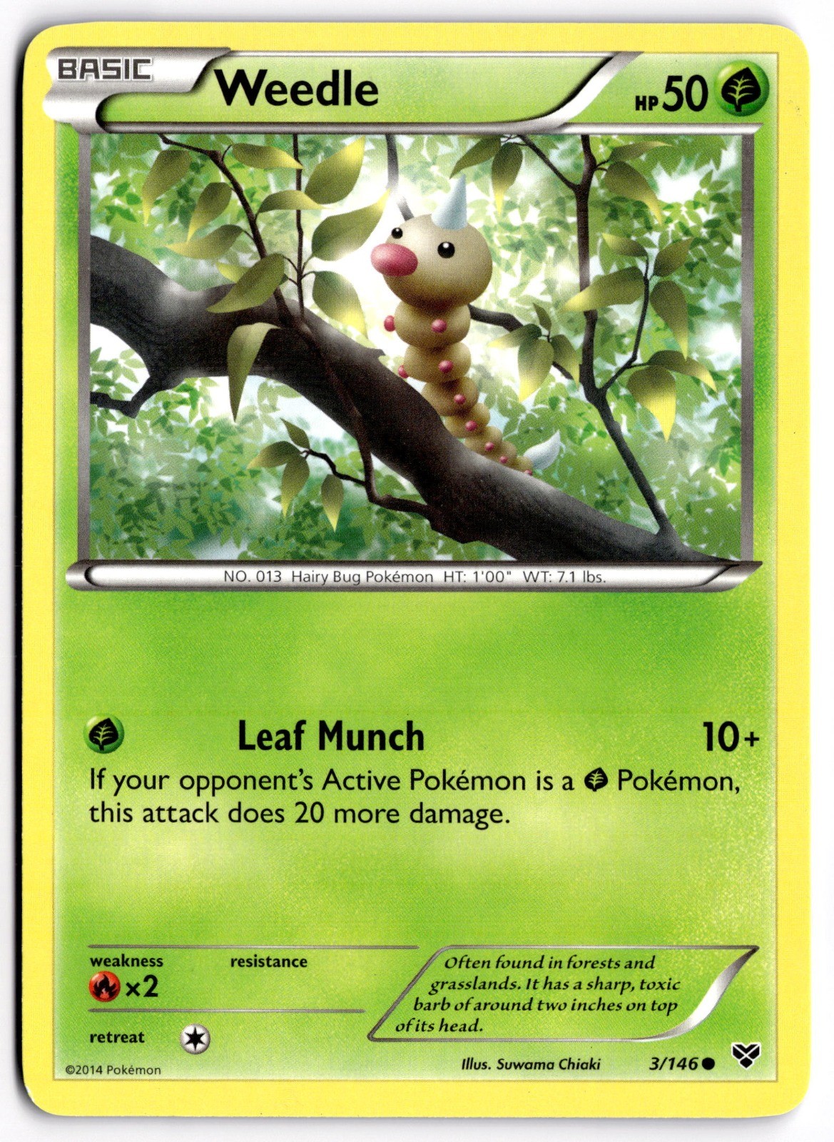 Pokemon TCG Weedle 3/146 XY Base Set Common LP