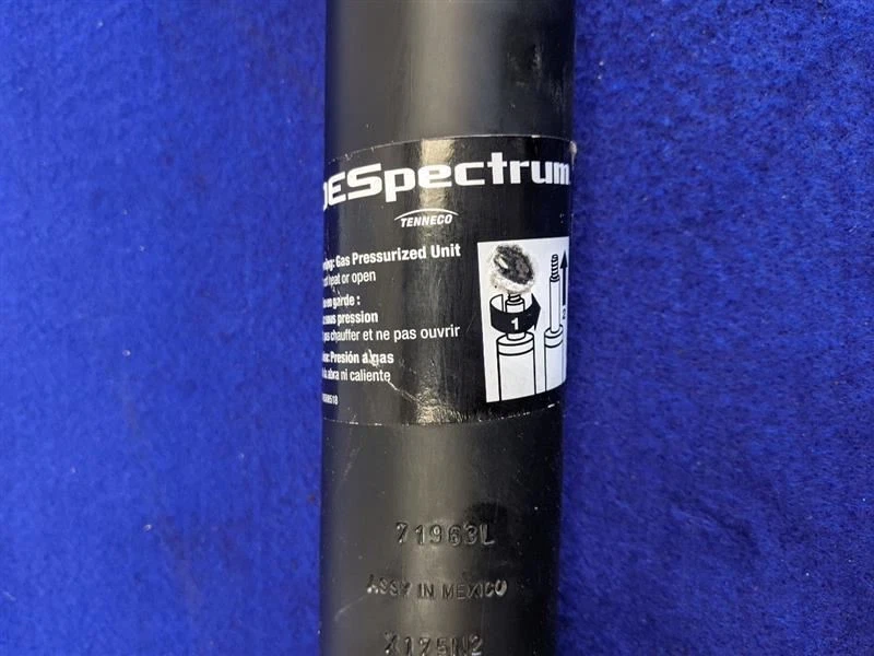 1999-2004 Ford Mustang Cobra SVT DOHC 4.6L Front Strut Pair Right Left - Imagem 4 de 4