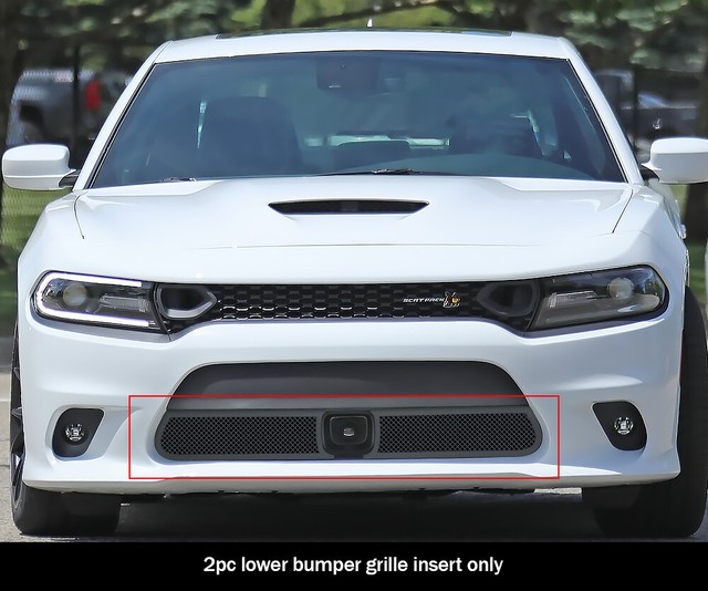 Fits 20152018 Dodge Charger W/ Cruise Control Lower Stainless Black