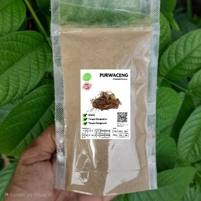 Purwoceng Pulver 100g Natural Pure Aroma Ritual Culinary Heritage Botanical
