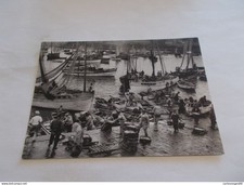 LOT de  5  CARTES POSTALES de  DOUARNENEZ   29 FINISTERE