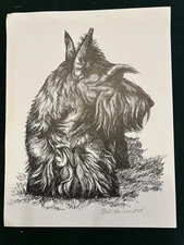 Scottish Terrier Print by Martha Van Loan 8x10