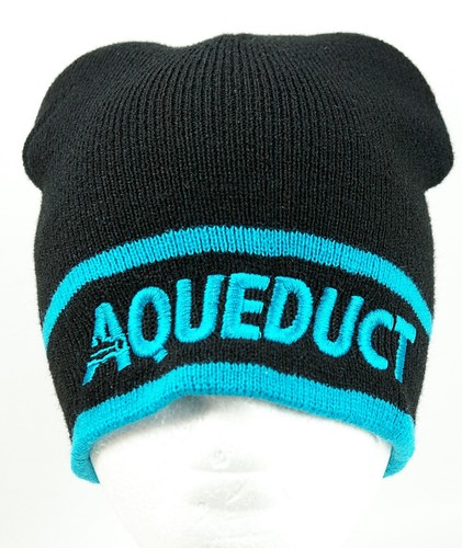 Brand New Aqueduct Racetrack 2010 