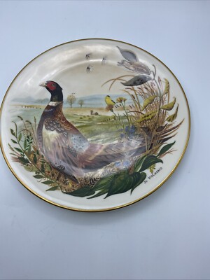 Scenes From A Wooded Glen  Ring-necked Pheasant   By Jo Polseno,  Gorham