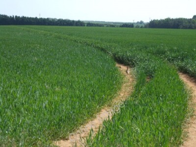 Foto 6x4 Felder auf Metheringham Heath um 2010