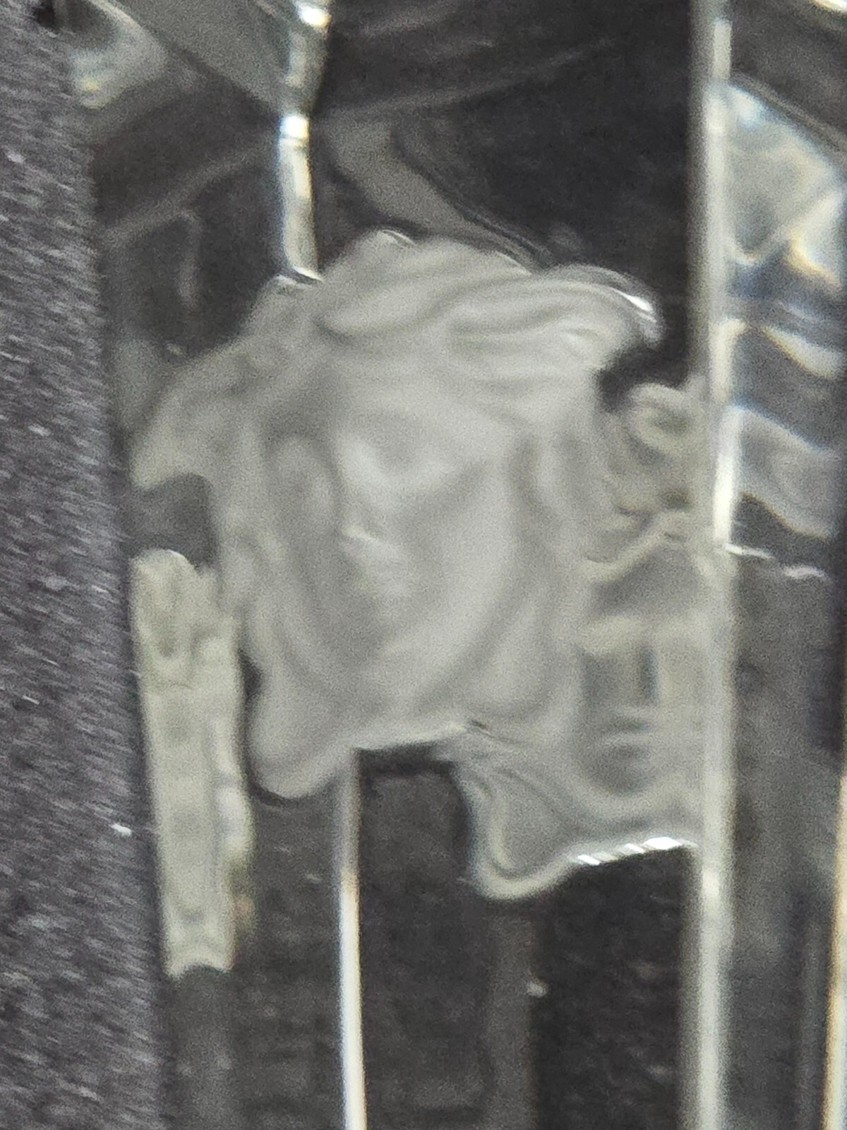 Picture 12 of 22