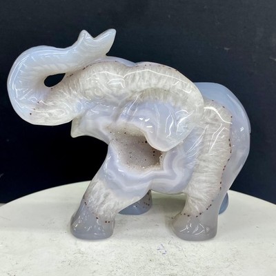 1.34LB Natural agate geode quartz crystal engrave Elephant skull healing gift de