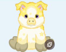 Webkinz Buttercup Pig RARE 2024 yellow flower piglet sow boar hog Vrtualcode msg