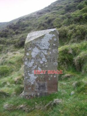 FOTO DER GRAUE TROGSTSTEIN NORDSEITE DER ALTEN GRENZSTEIN MARKIERUNG LAN
