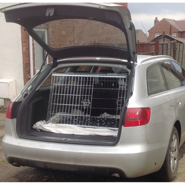 audi dog cage