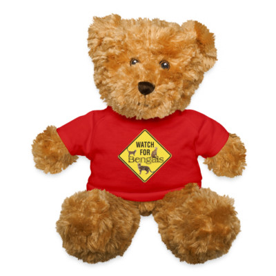 Teddy Bear