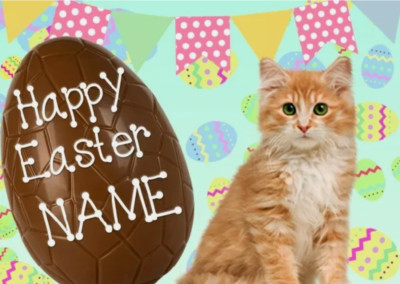 Personalisierte Grußkarte Ingwer Kätzchen Katze Frohe Ostern A5 Schokoladenei EE118
