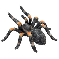 .Mojo RED KNEED TARANTULA Wild zoo animals play model figure toys plastic spider