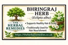 bhringraj powder for anti hair fall regrowth of hair