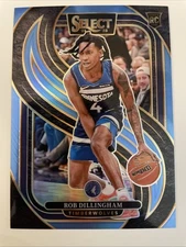 2024-25 Panini Select Rob Dillingham RC Premier Level Light Blue #/299