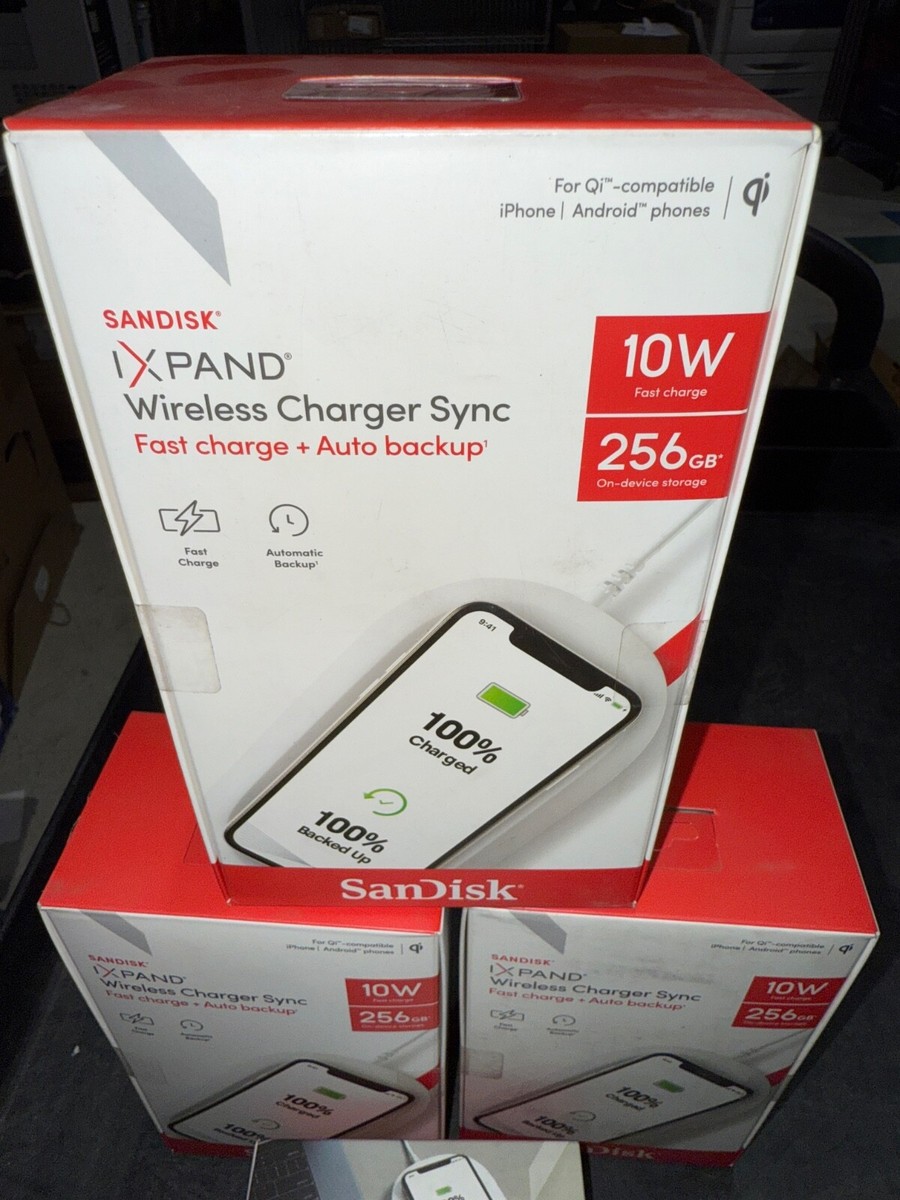 SanDisk SDIZ90N-256G 通販