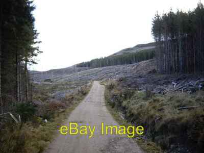 Foto 6x4 Kahlschlag entlang alter Militärstraße Corgarff zwischen Ordgarff um 2008