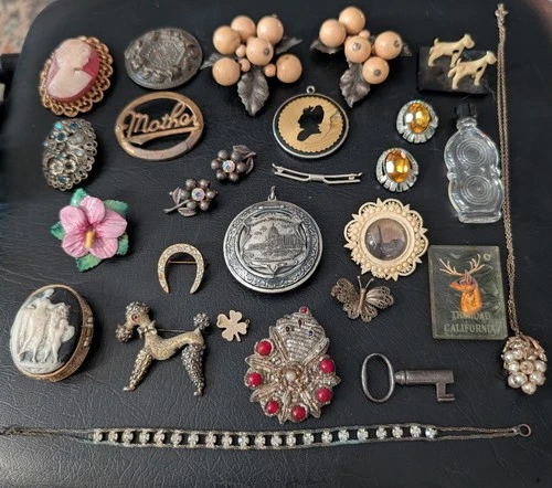 Antique Vintage Victorian Jewelry Lot Estate Fur Clips Bakelite Celluloid 24