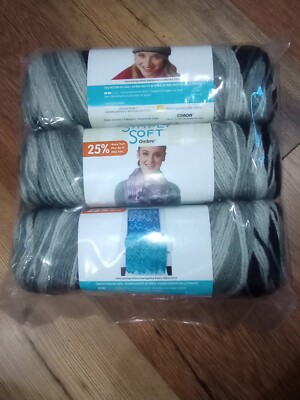 Caron Simply Soft Yarn Lot of 3 Skeins Stormy Weather Ombre Medium 100% Acrylic