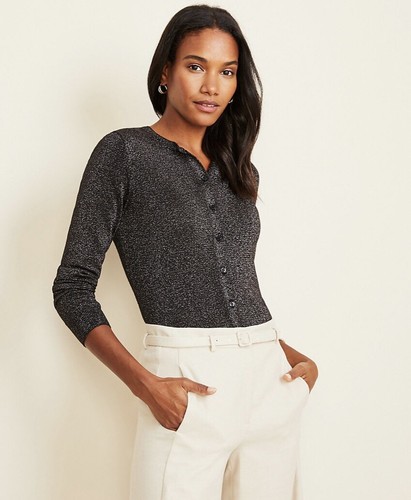NWT ANN TAYLOR Shimmer Ann Knit Sweater 