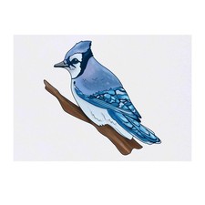 'Blue Jay' Temporary Tattoos / Transfers TO00030331