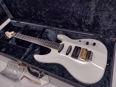 (Aria Pro II) RS CUSTOM PWH E-Gitarre mit Hartschalenkoffer Tremoloarm Gebrau...