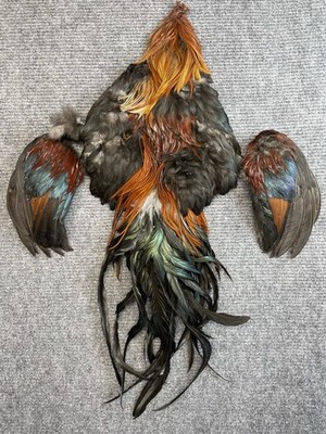 Genetic Rooster Cape Saddle Full Pelt Matched Wings Fly Tying Hackle Red Furnace