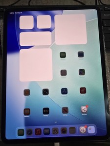 iPad Pro 13 Cellular | eBay