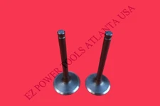 Harbor Freight Predator 60340 60349 13HP 420CC Engine Intake Exhaust Valve Set