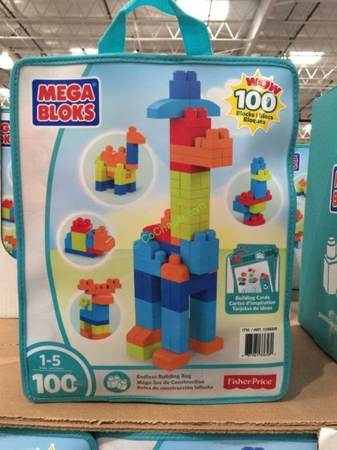 mega bloks 100 piece set
