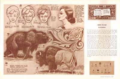 Leather Craft Doodle Pattern       ADDING THE HAIR