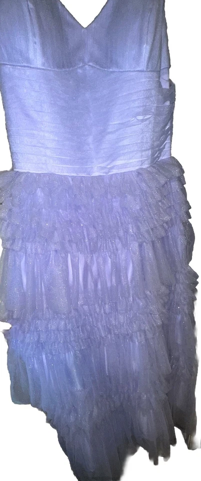 Purple prom dress, sparkly, puffy bottom, spaghetti strap, tie back, plus size - Image 3 of 3