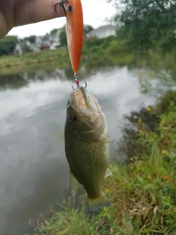  Señuelo de pesca de madera naranja 58 mm (2,3 pulgadas) Foto 4 de 4