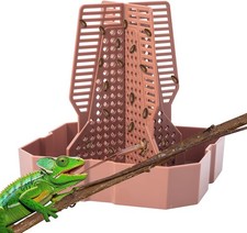 Reptile Feeder Bowl with Climbing Ladder for Chameleon Bearded Dragon Hunting