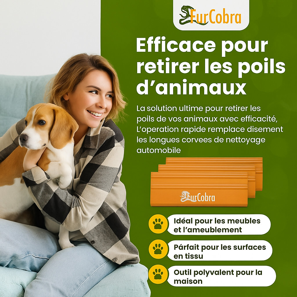 Brosse à poil d'animaux pour chiens et chats en silicone noir pour moquette