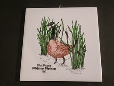 Carrelage céramique 8" Souviner 1997 Worldflower Pilgrimage Blackwater Falls Davis WV