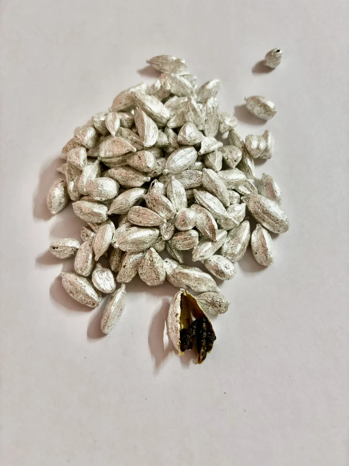 25 GM индийский Mukhwas рот освежитель серебро Elaichi кардамон, Бесплатная доставка - Изображение 2 из 2