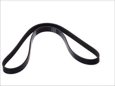 Für DAYCO DAY5PK1150S V-ribbed Belt DAY5PK1150S Multi-V-belt (5PK1150) fits: AB