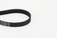 Neu - Continental Ctam 5PK884 Keilrippenriemen FüR CitroËN Passend FüR Fiat