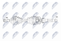 NTY NPW-CT-152