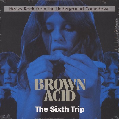 V.A. - Brown Acid - The Sixth Trip (Vinyl LP - 2018 - US - Original)