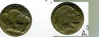 1913 P TYPE 1 BUFFALO HEAD NICKEL TYPE COIN BU 8821T
