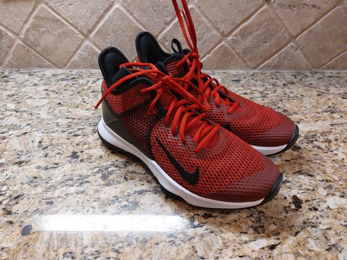 Nike Lebron Witness IV 4 Sneakers Men's 