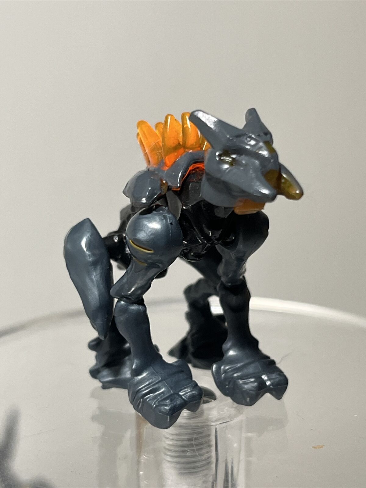 Picture 5 of 24
