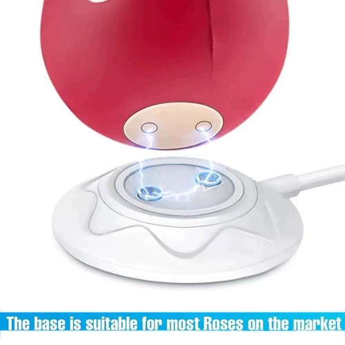 Charging Cable Accessories Sexy Rose Charger Accessories n φ ew νψ V1M6 - Zdjęcie 8 z 13