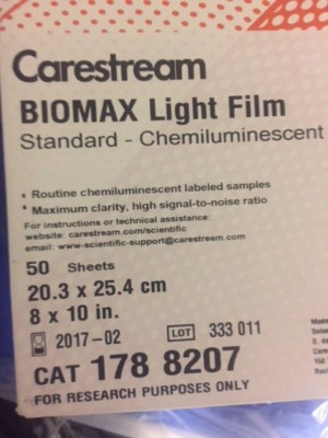 Carestream Health BioMax  Light Film  8x10 Inch  178 8207 for Chemiluminescent